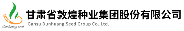 東莞模光模具科技有限公司